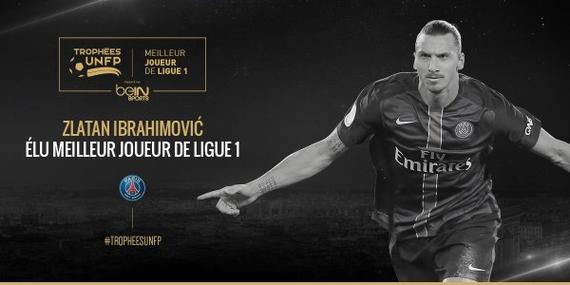 伦敦奥运马术冠军与爱马同日安乐死：二十载相伴书写辉煌传奇